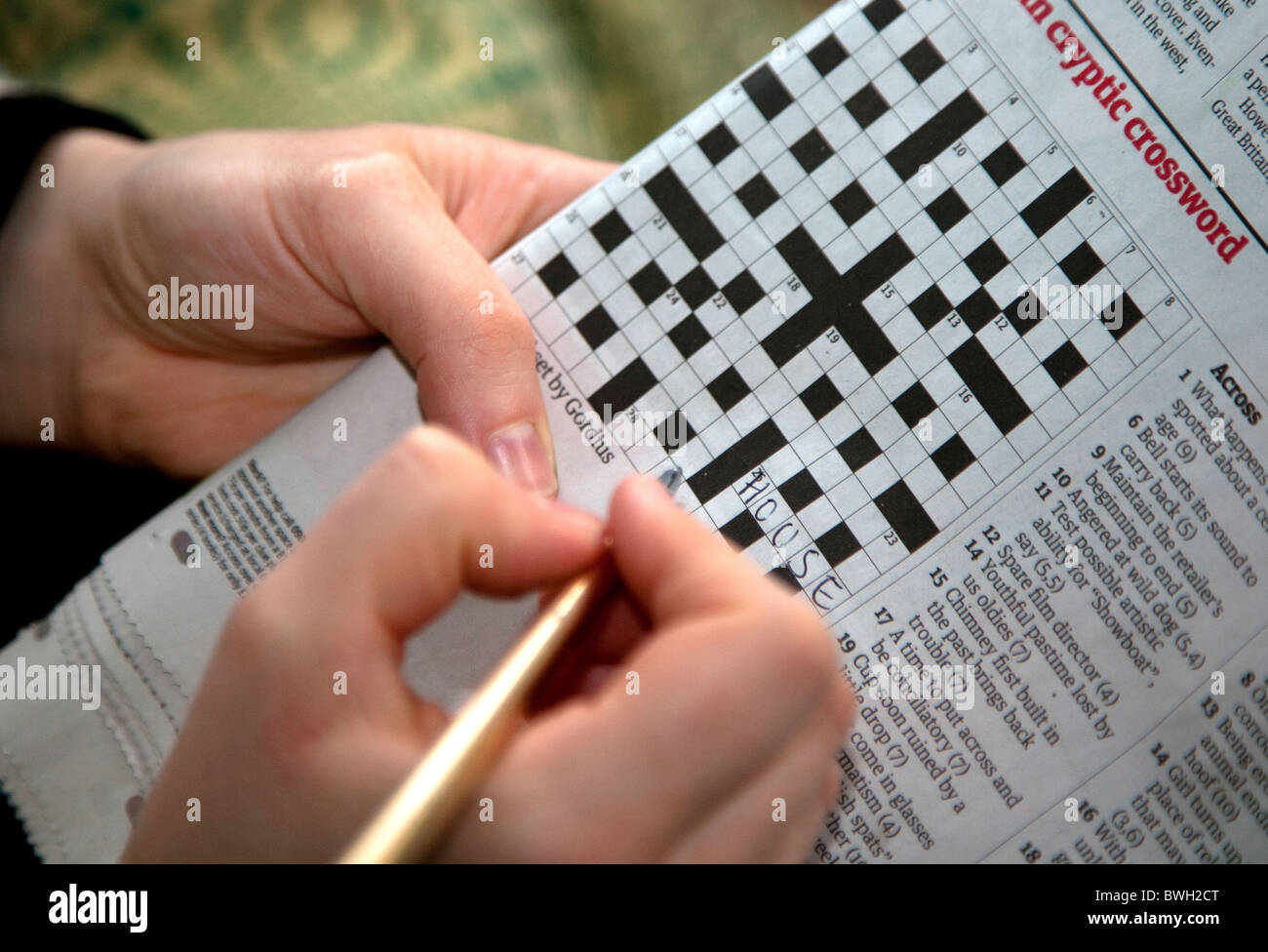 Solving a  cryptic newspaper crossword, London Stock Photo