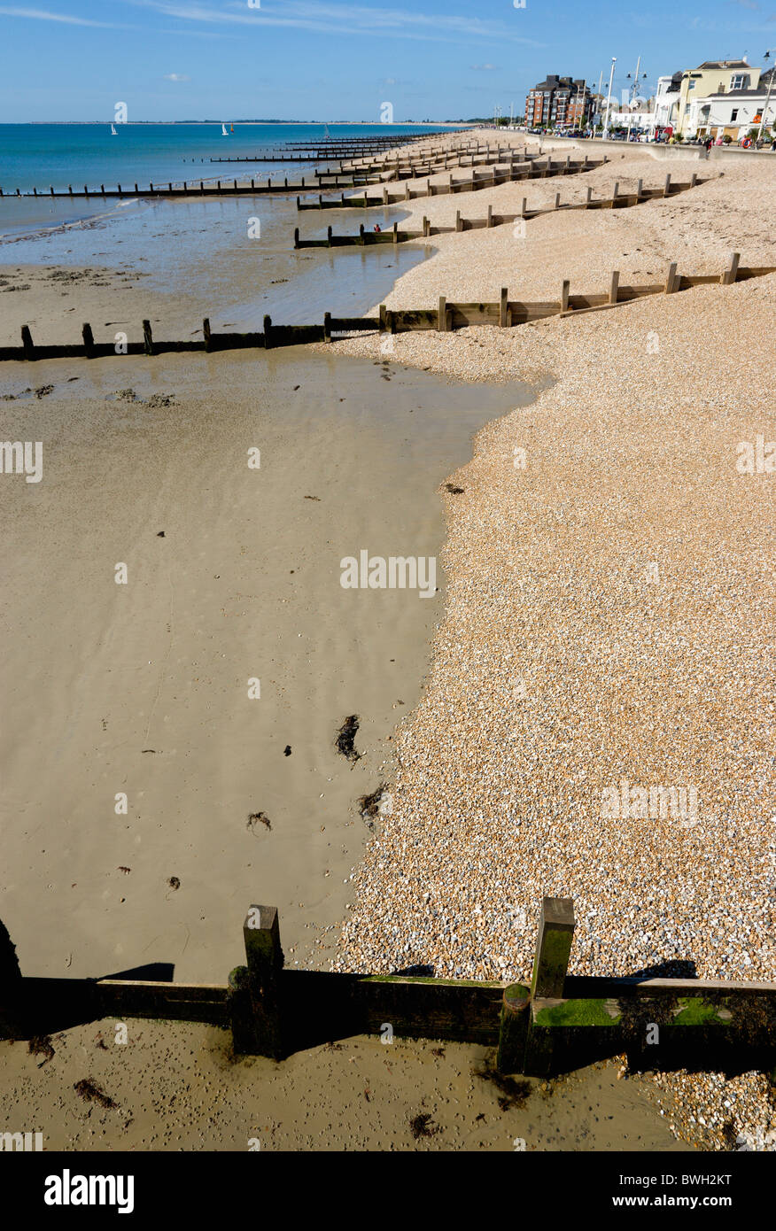 England, West Sussex, Bognor Regis, Wooden groynes at low tide used as sea defences against erosion of the shingle pebble beach. Stock Photo