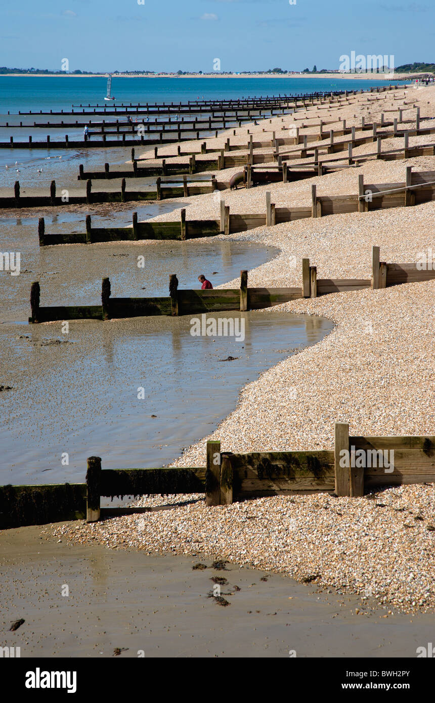 England, West Sussex, Bognor Regis, Wooden groynes at low tide used as sea defences against erosion of the shingle pebble beach. Stock Photo