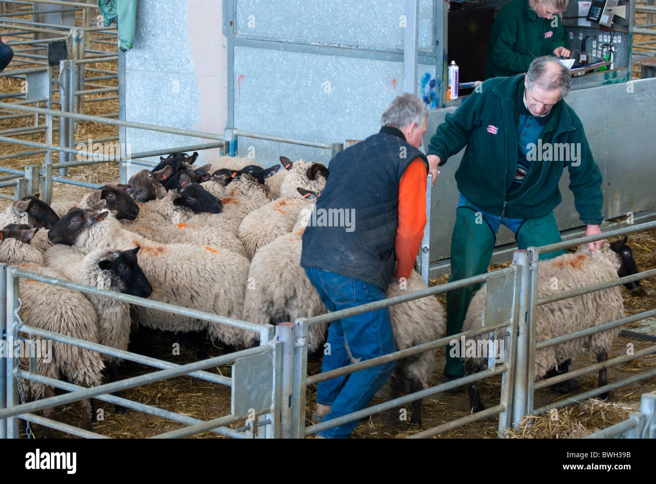 Melton mowbray livestock market melton mowbray hires stock photography and images Alamy