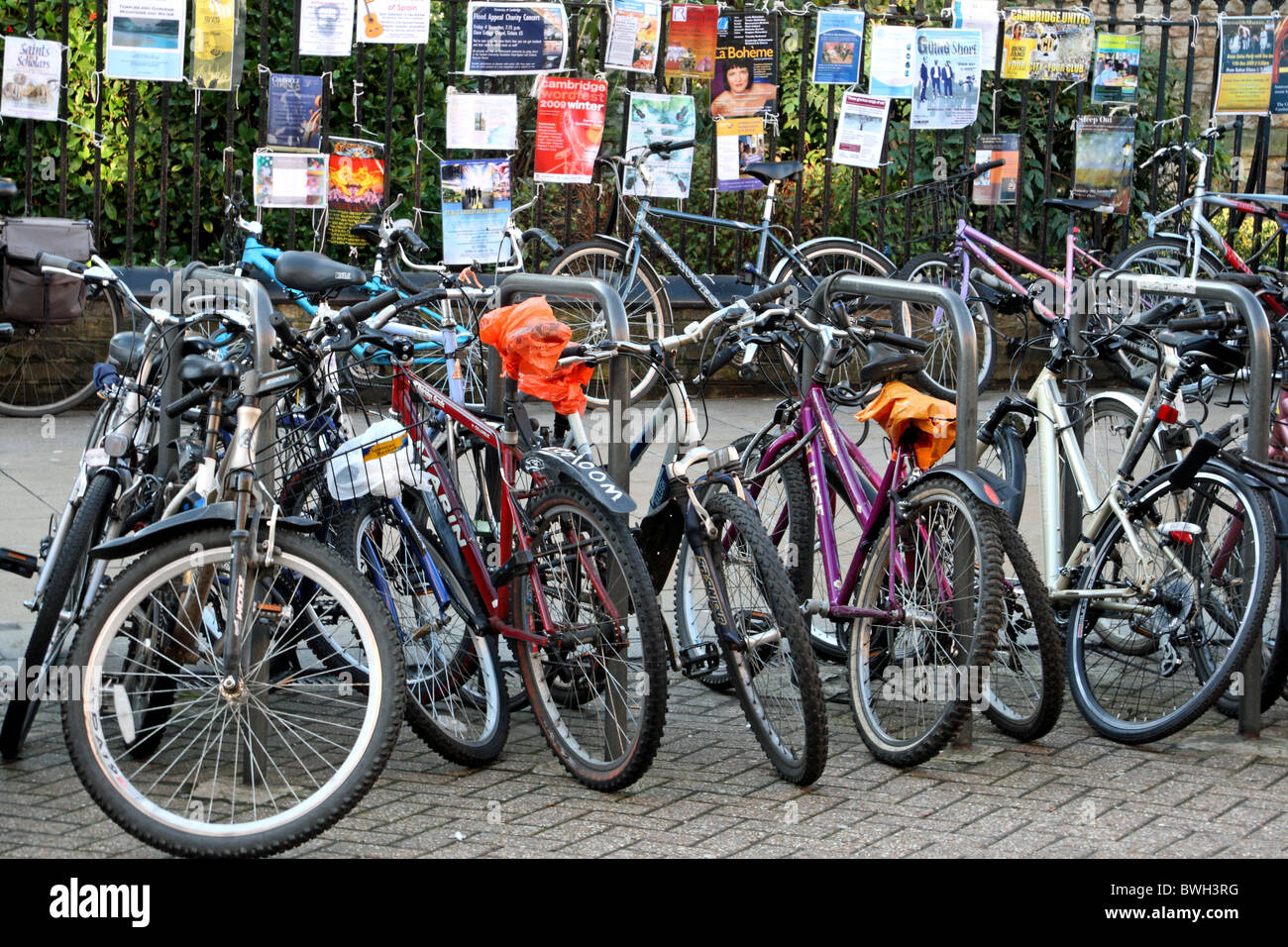 University student bicycles in Cambridge Stock Photo
