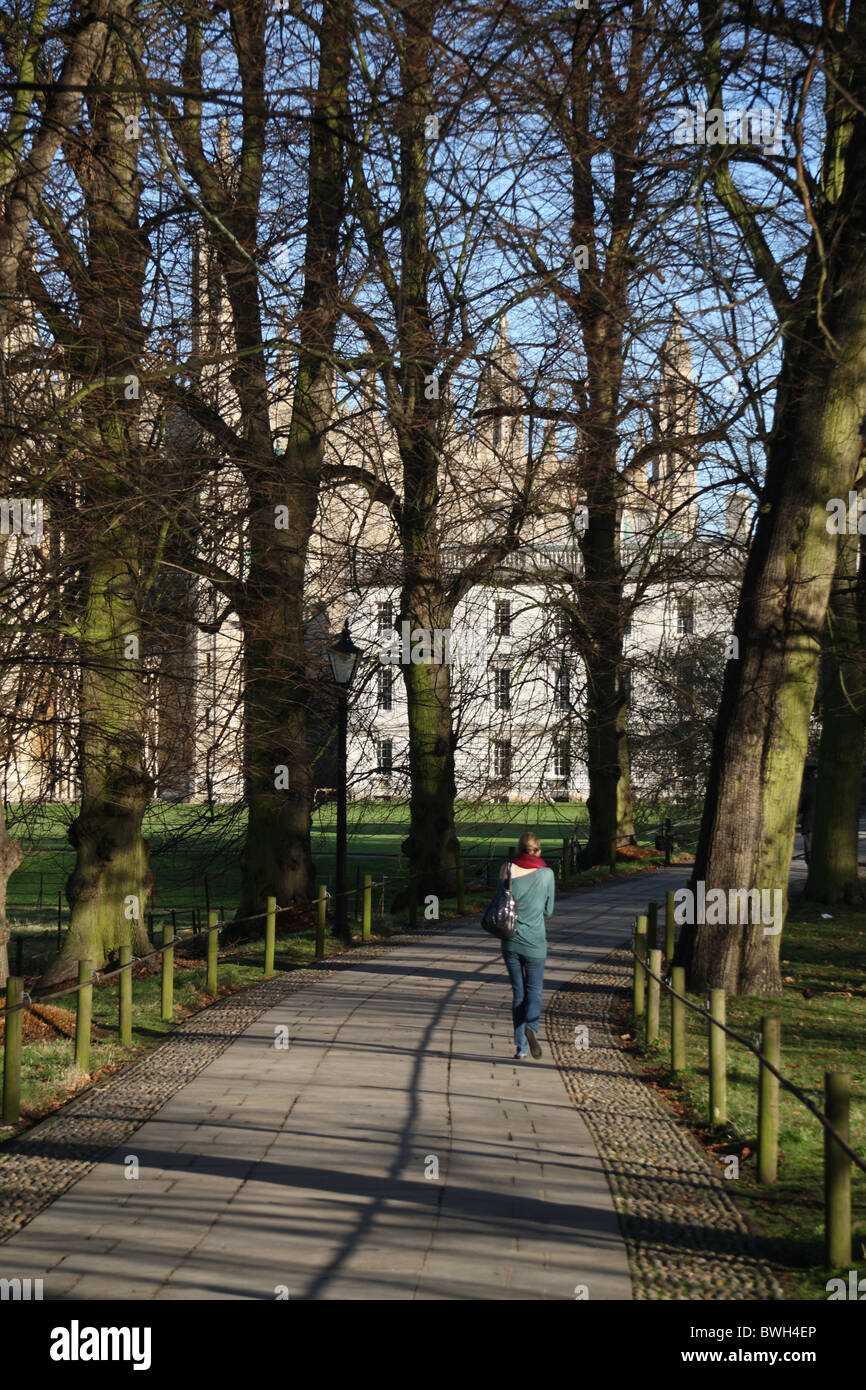 Cambridge student walking through park Stock Photo