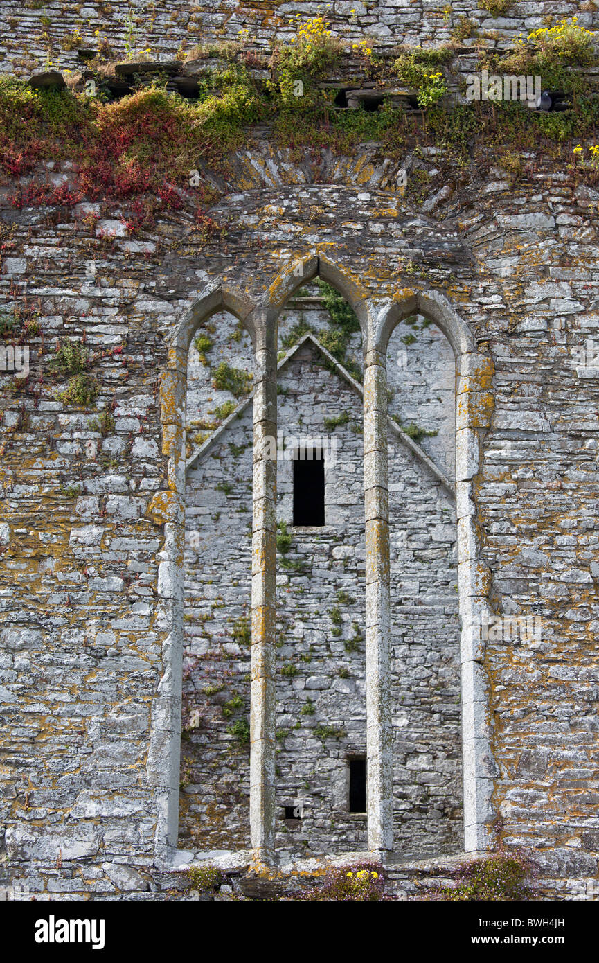 Ruins of a Franciscan friary built 13th and 17th Century, Timoleague, County Cork, Ireland Stock Photo