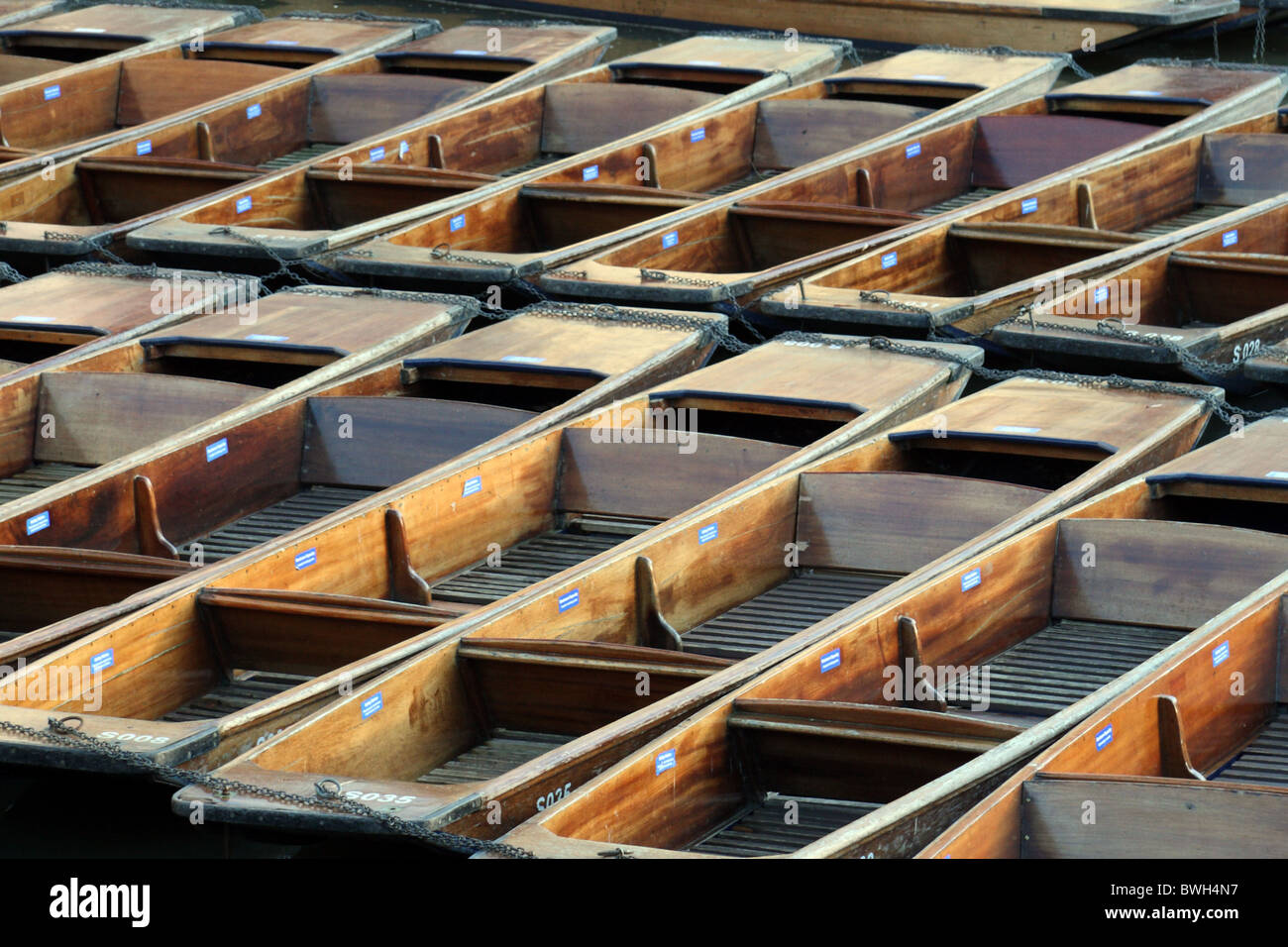 Fleet of empty punts on the River Cam in the city of Cambridge Stock Photo