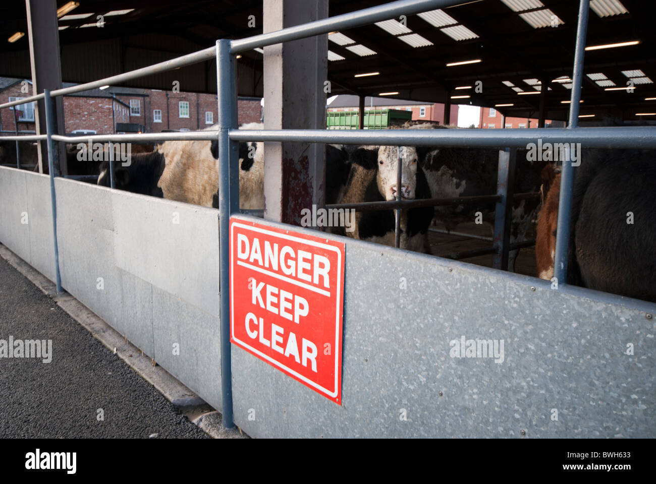 Cattle pens uk hi-res stock photography and images - Alamy