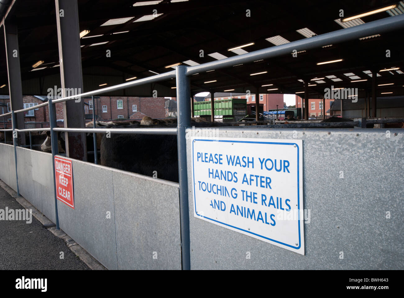 Warning signs on the outside of the cattle pens at Melton Mowbray livestock Market Stock Photo