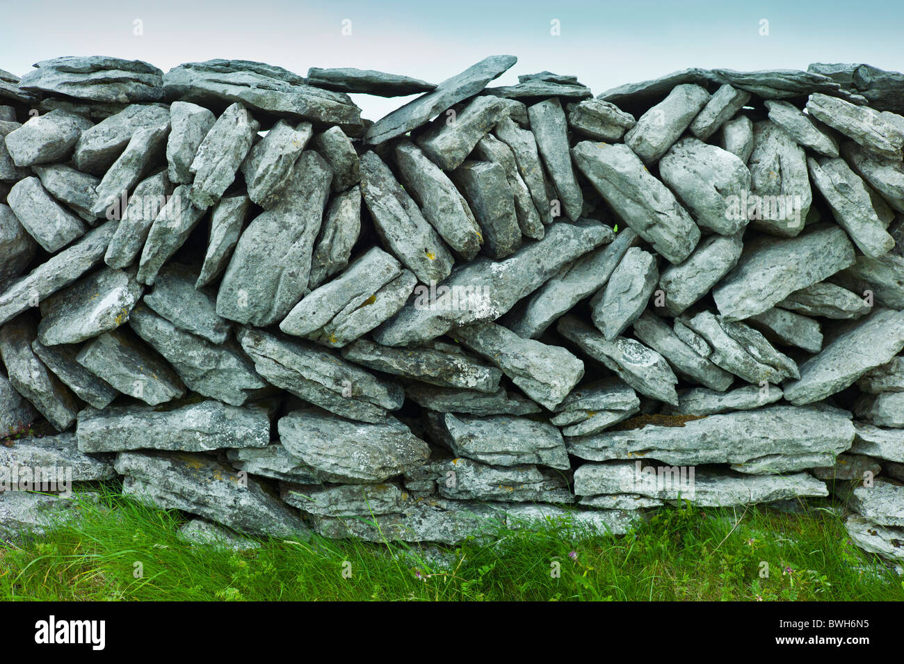 Traditional dry stone wall in meadow in The Burren, County Clare, Ireland Stock Photo