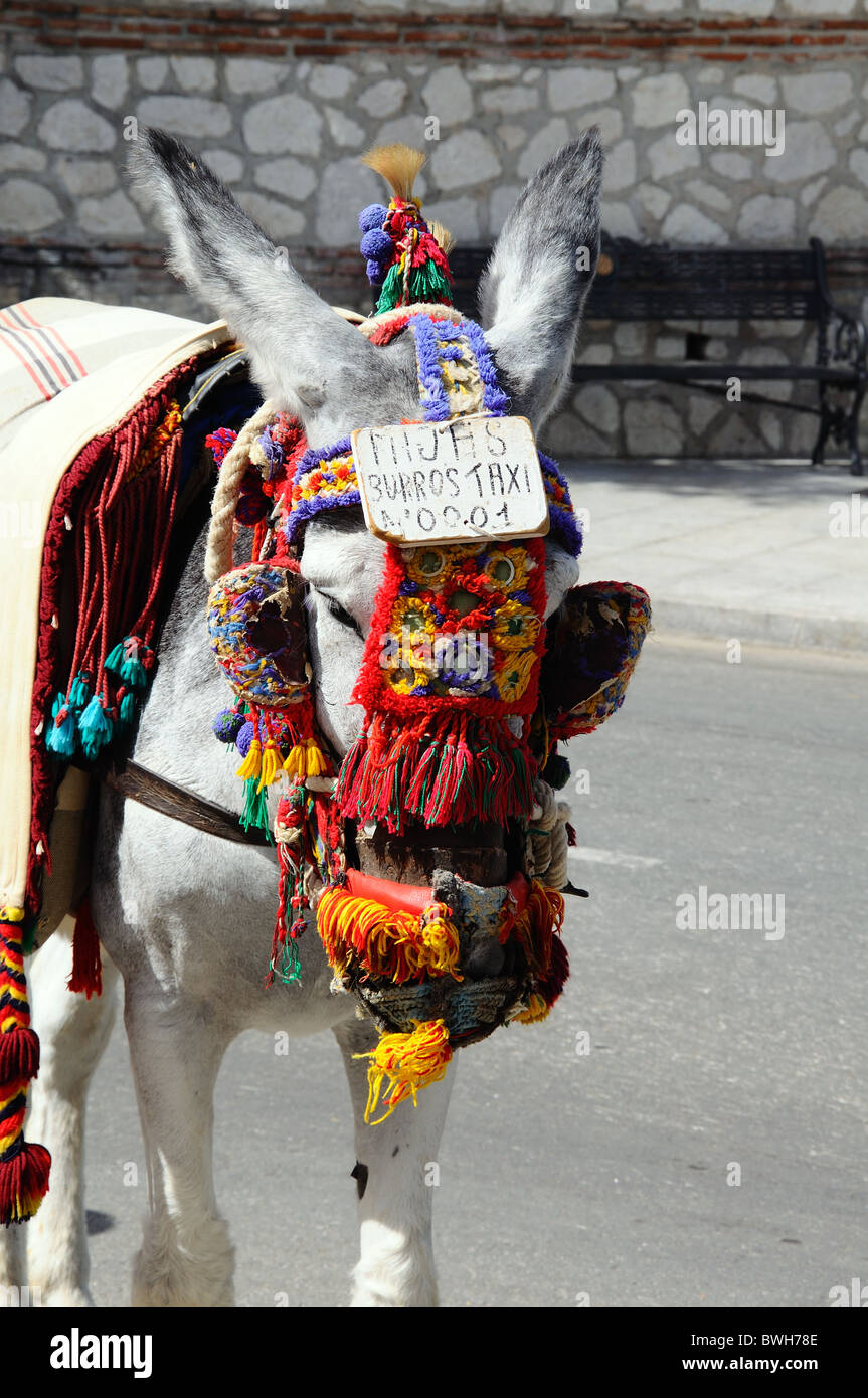 Burro taxi (donkey rides), Mijas, Costa del Sol, Malaga Province,  Andalucia, Spain, Western Europe Stock Photo - Alamy