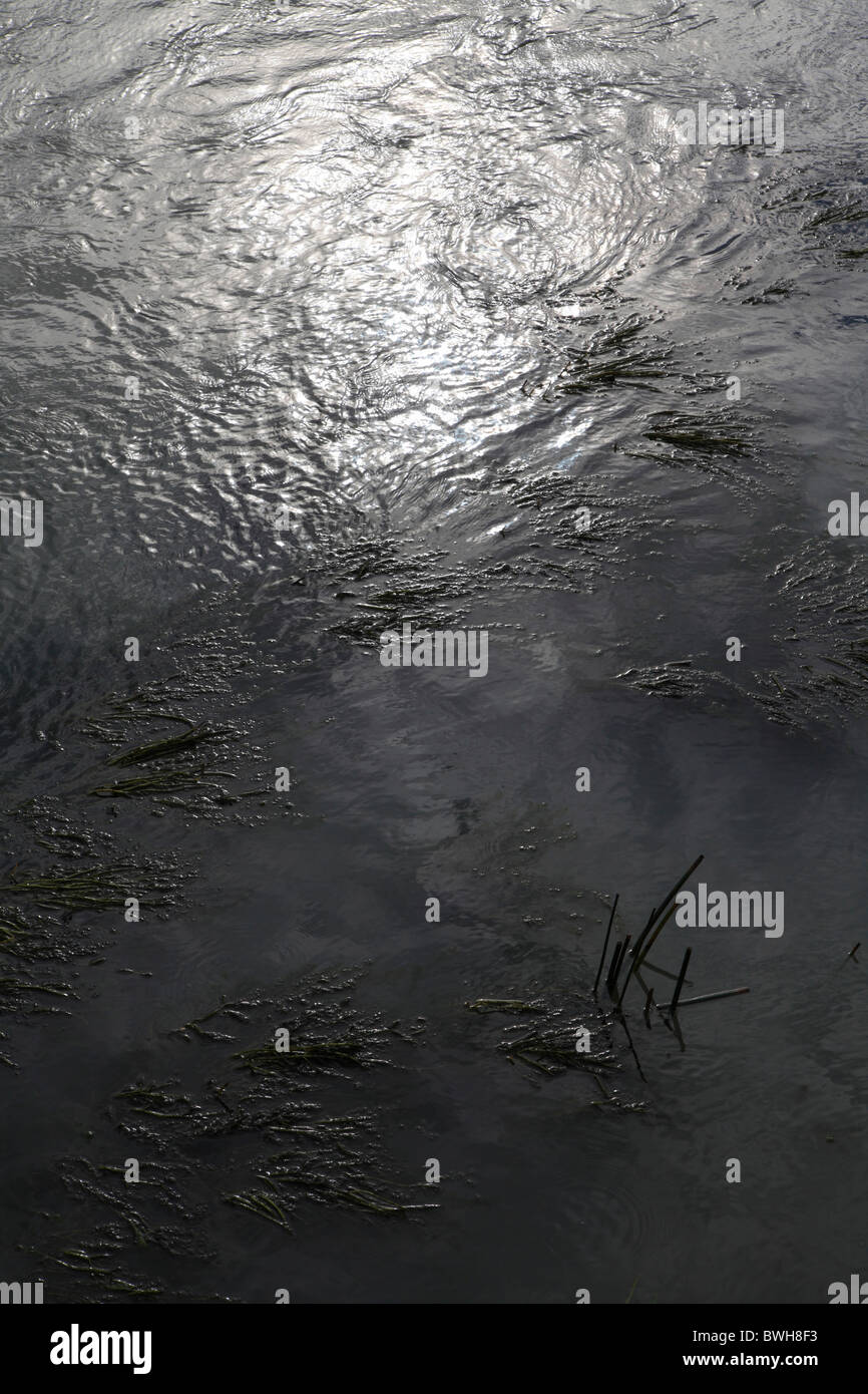 murky swirling waters and river weed Stock Photo