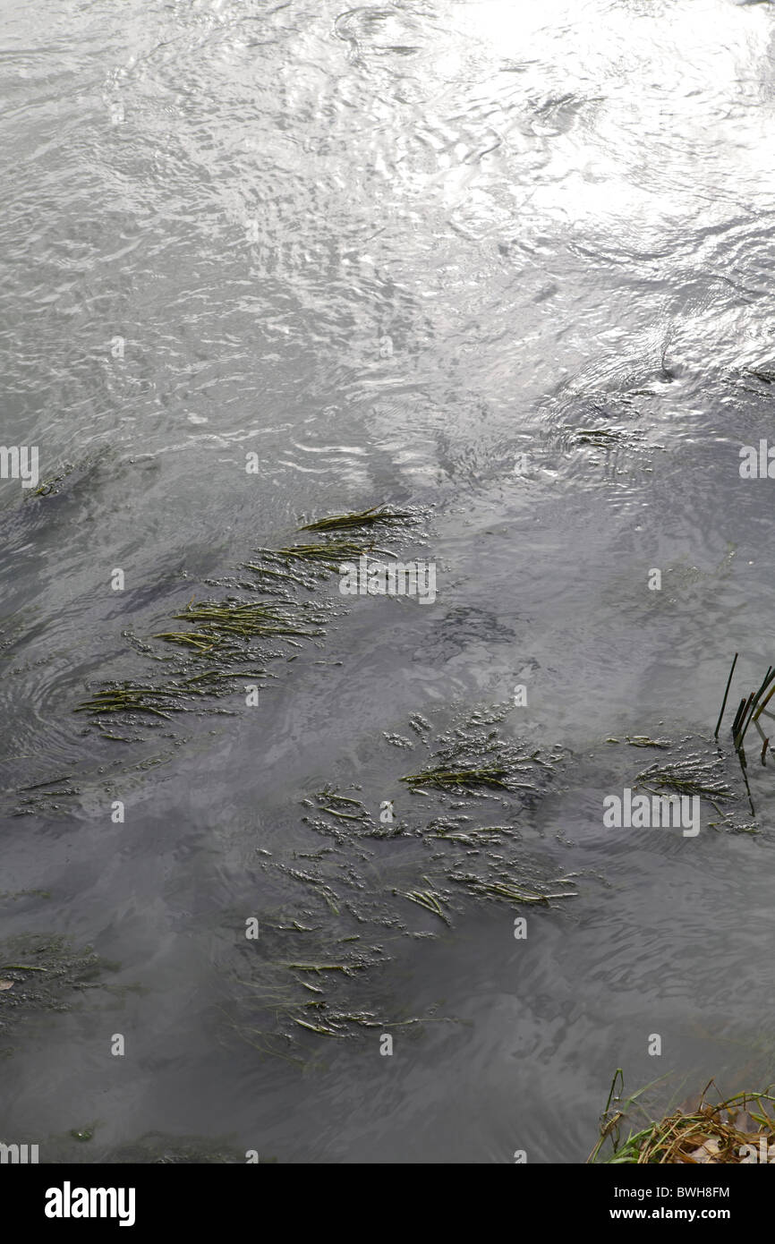 murky swirling waters and river weed Stock Photo