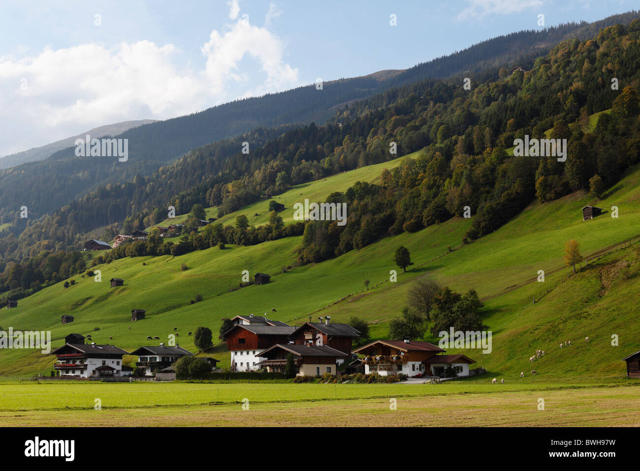 Bramberg-Baumgarten, Pinzgau, Salzburger Land county, Salzburg, Austria, Europe Stock Photo