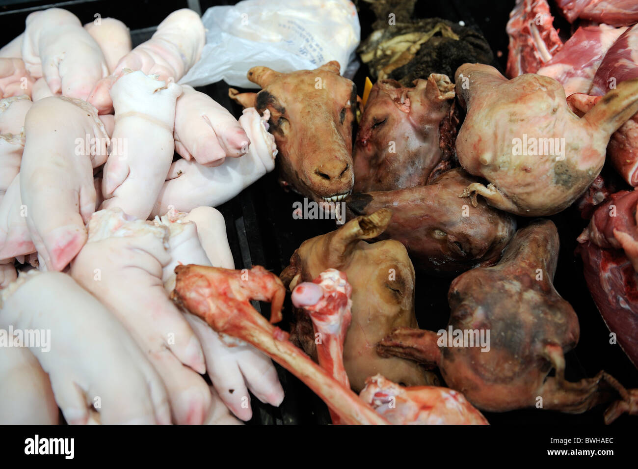 Sheep heads and pigs feet are on sale in Qingdao Liqun Supermarket in Qingdao, Shandong, China.12-Nov-2010 Stock Photo