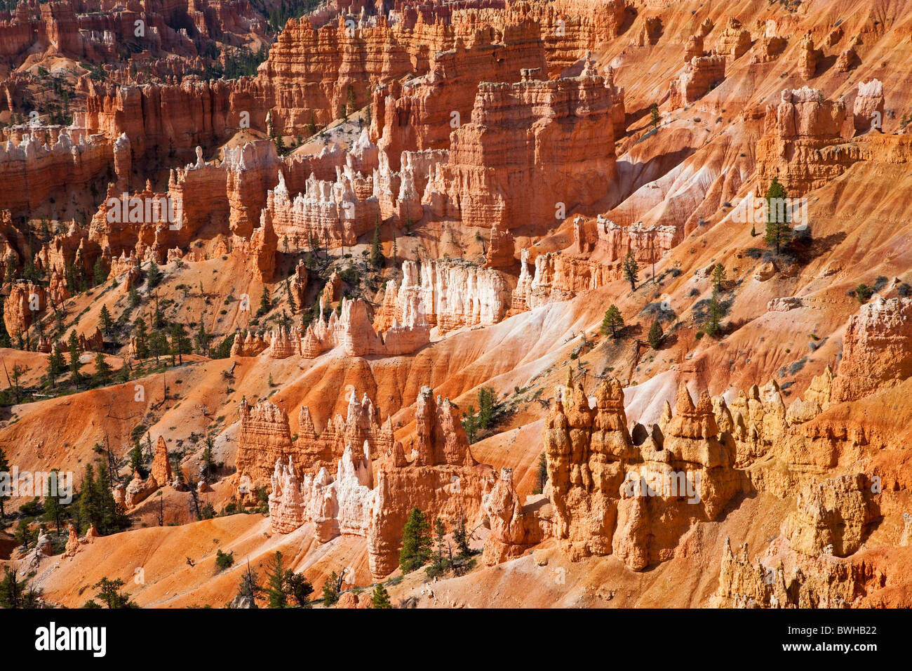Rocky landscape with hoodoos, Bryce Canyon National Park, Utah, USA Stock Photo