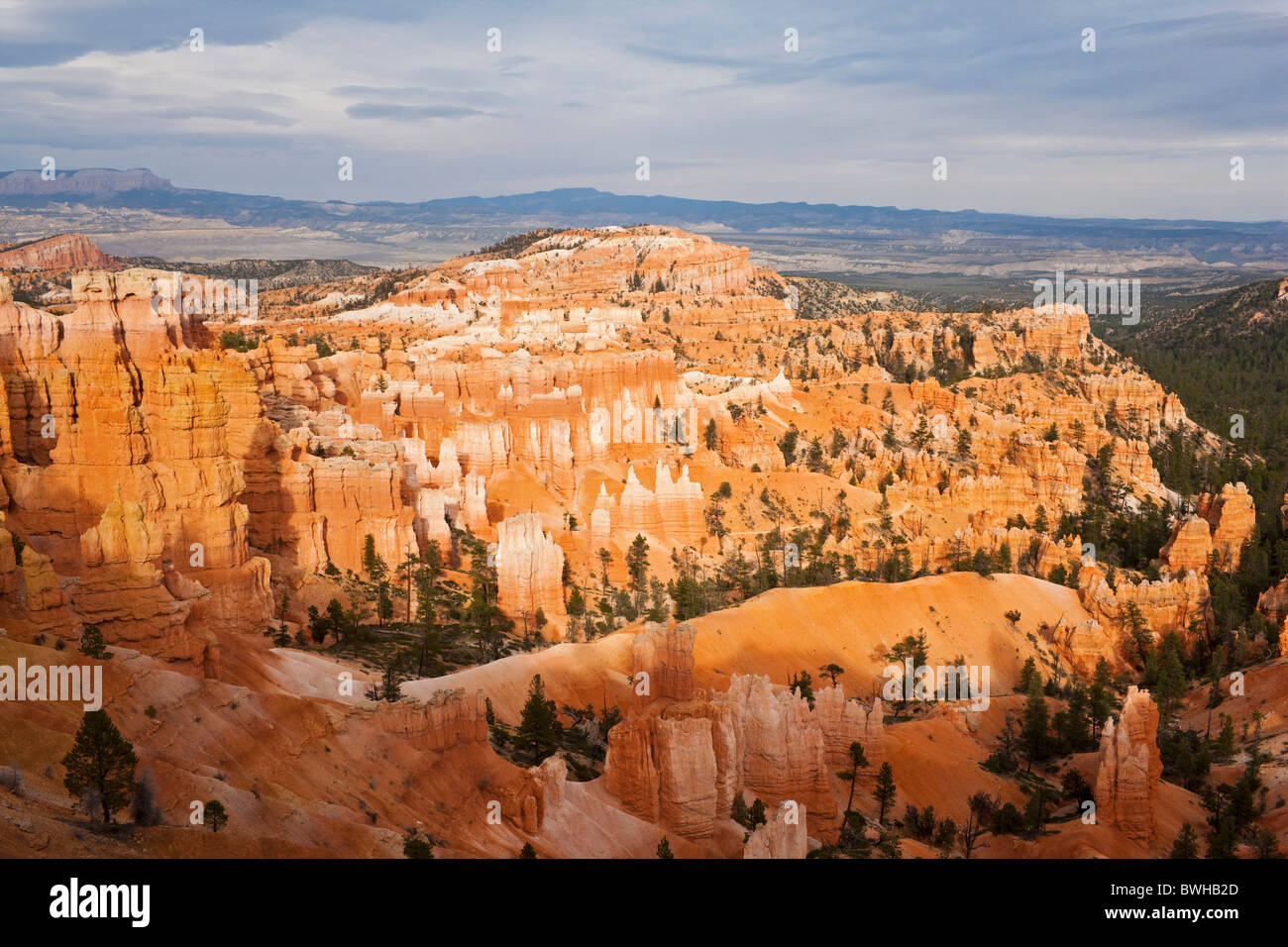 Rocky landscape with hoodoos, Bryce Canyon National Park, Utah, USA Stock Photo