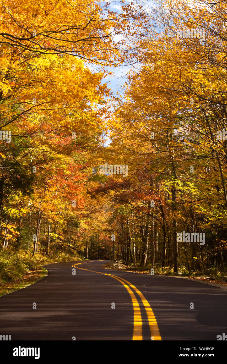 Autumn in the Great Smoky Mountain National park along the Roaring Fork Motor Trail Stock Photo