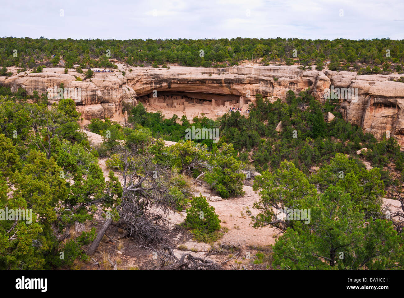 Cliff Palace Ruin, Mesa Verde National Park, Colorado Stock Photo - Alamy