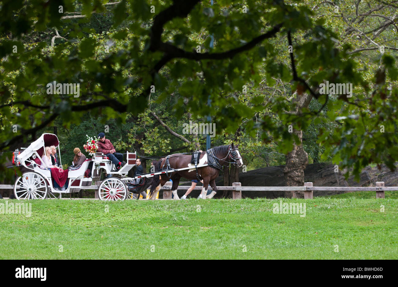 Central park carriage hi-res stock photography and images - Alamy