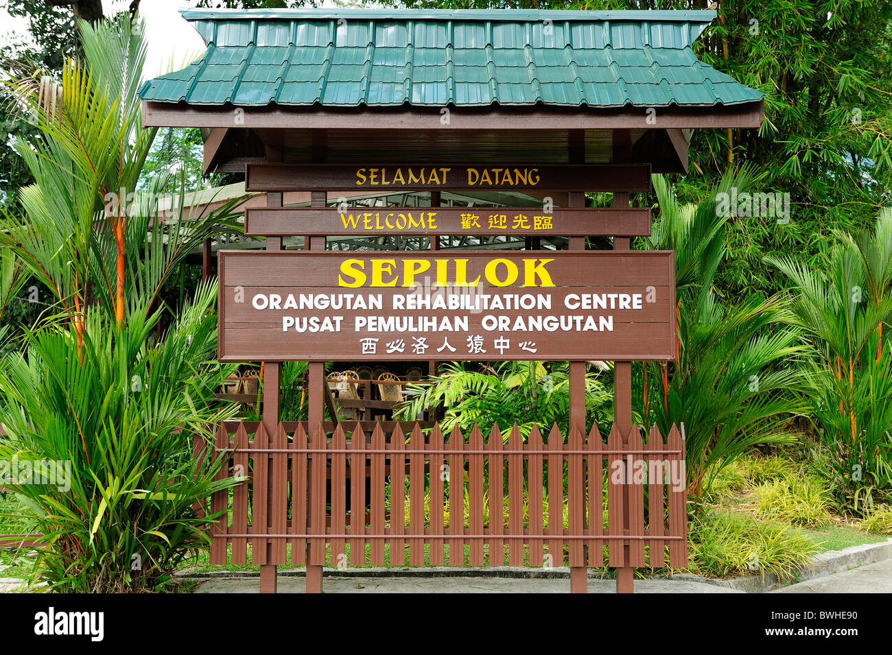 Sepilok Orangutan Rehabilitation Centre near Sandakan in north-east Sabah Stock Photo