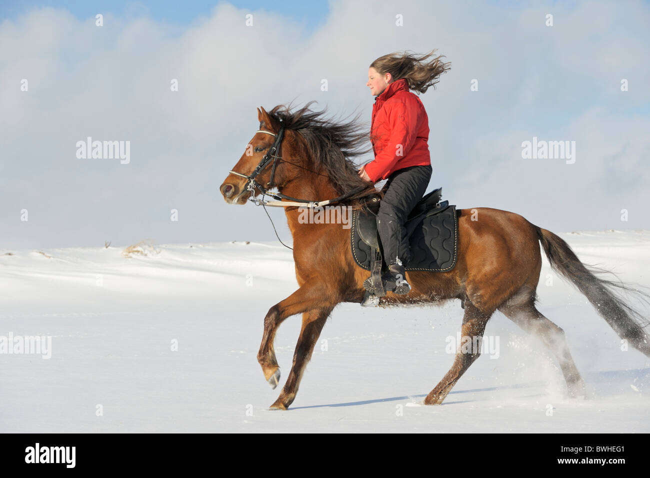 Young rider on back of her Paso Fino horse galloping in snow Stock Photo