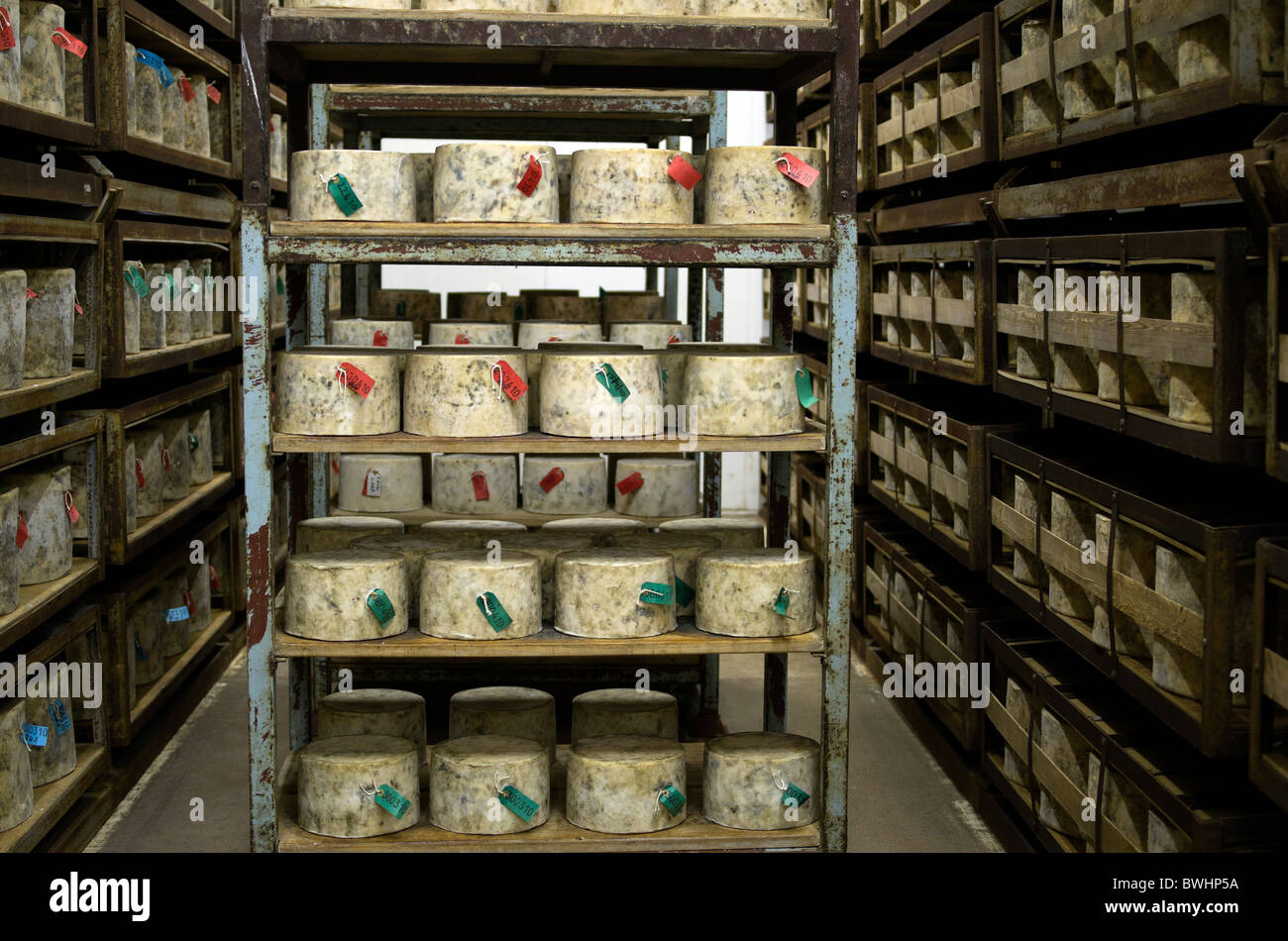 Cheese ripening shelves hi-res stock photography and images - Alamy