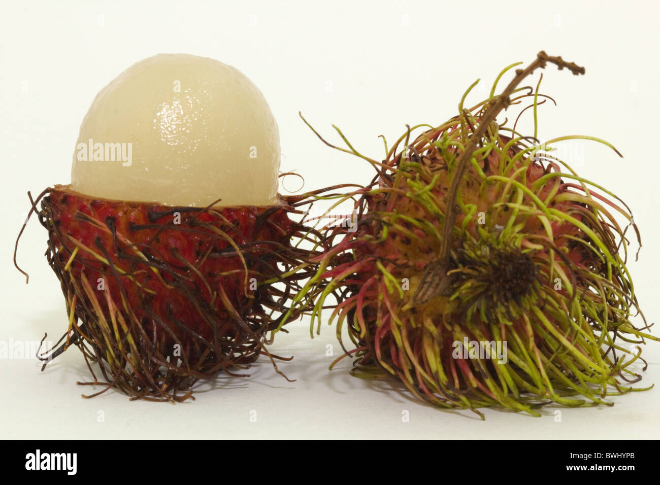 Rambutan fruits (Nephelium lappaceum) whole and open, isolated against white background Stock Photo