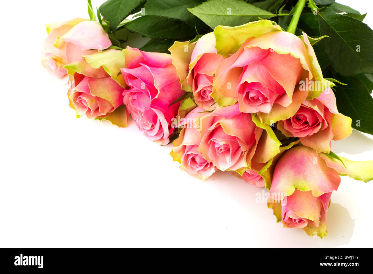 Bouquet beautiful pink roses isolated over white Stock Photo - Alamy