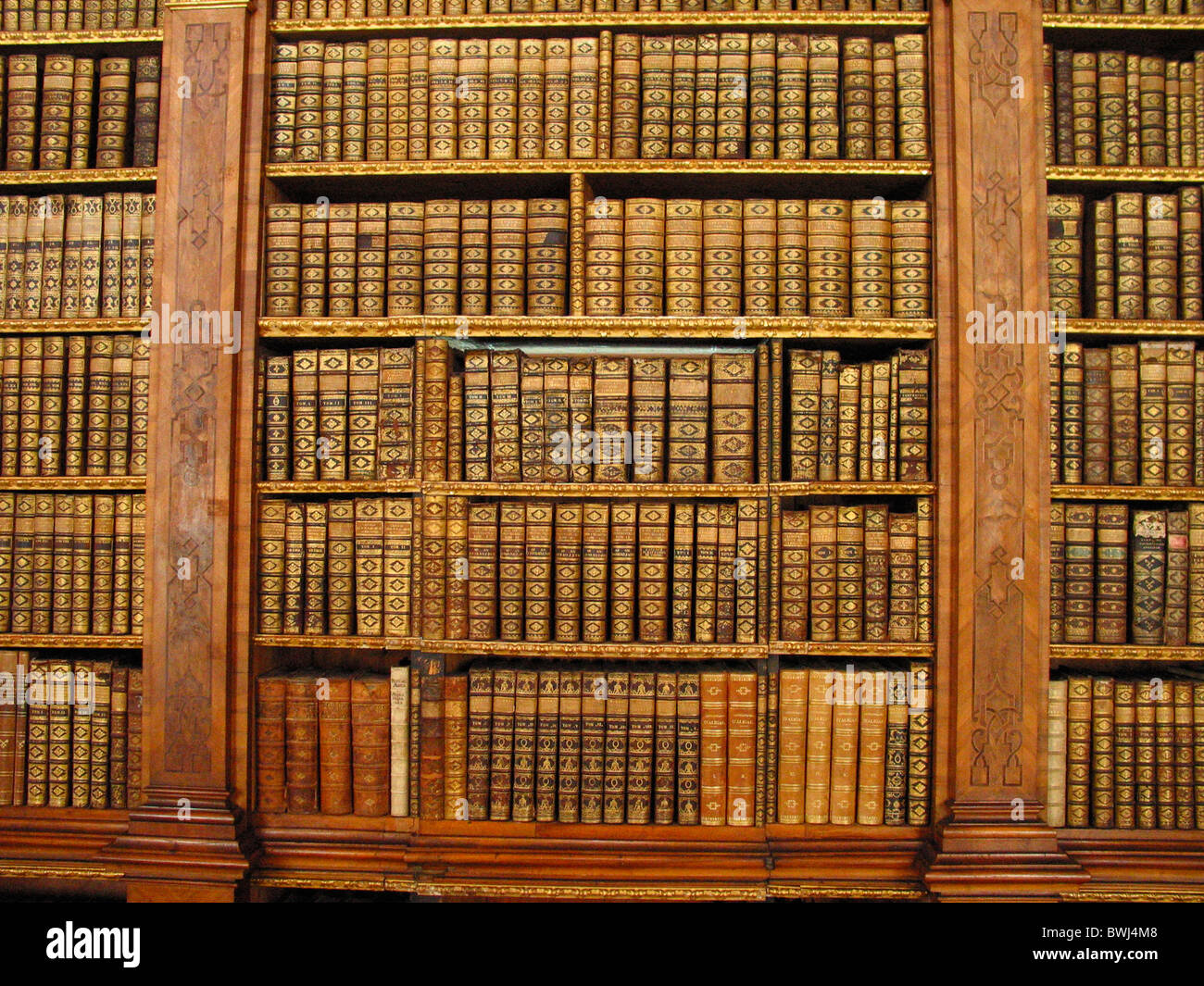 library old books volumes old historical shelves literature reading knowledge education formation Stock Photo
