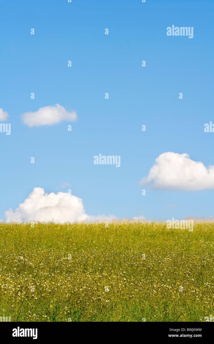 background blue breeze climate cloud clouds concept cumulus deserted empty fluffy grass green sky horizo Stock Photo