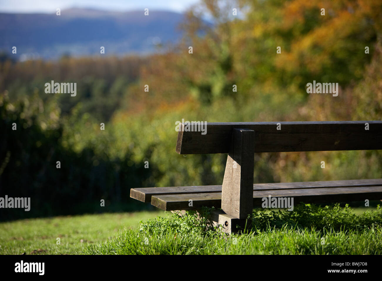 empty park bench overlooking autumn turning woodland Stock Photo