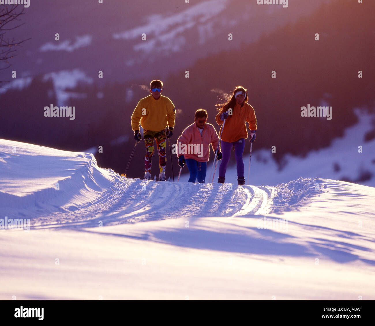 cross-country skiing cross-country skiing winter winter sports group mood Stock Photo