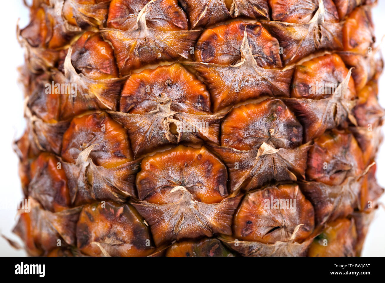 closeup of fresh pineapple, macro Stock Photo