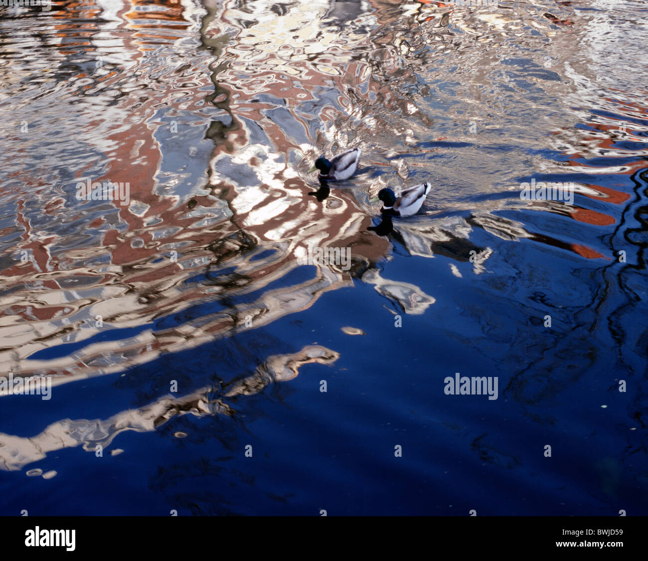 [Pentax 67 II] [medium format slide film] Stock Photo Alamy