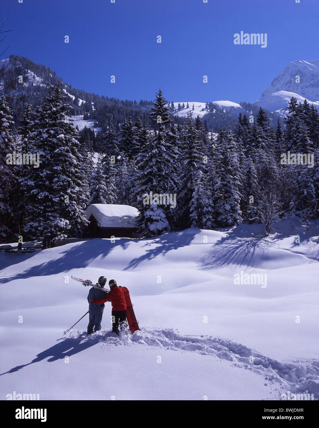 couple two persons holidays vacation ski skier skiing Snowboarder snowboard Snowboarding winter winter spo Stock Photo