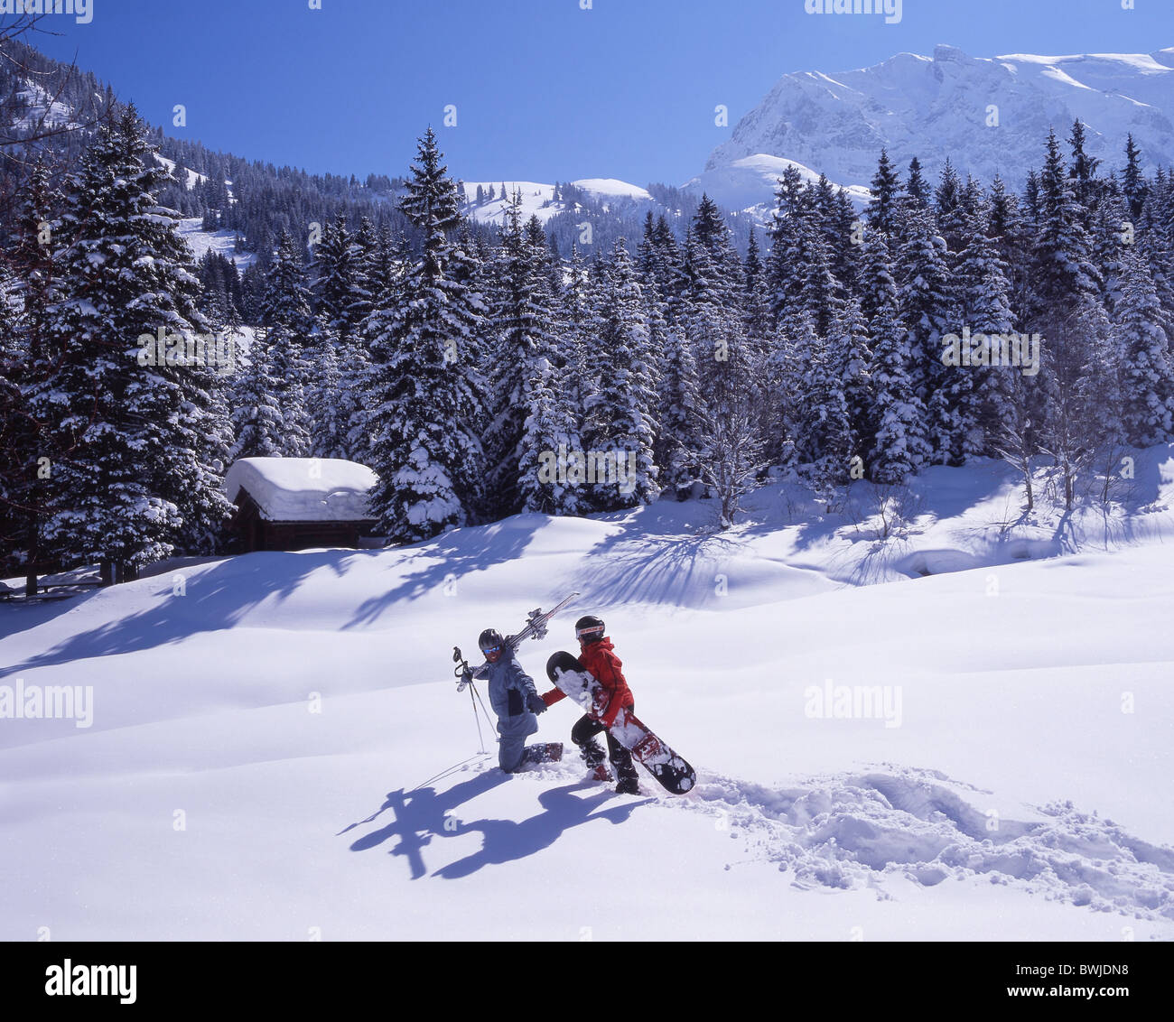 couple two persons holidays vacation ski skier skiing Snowboarder snowboard Snowboarding winter winter spo Stock Photo