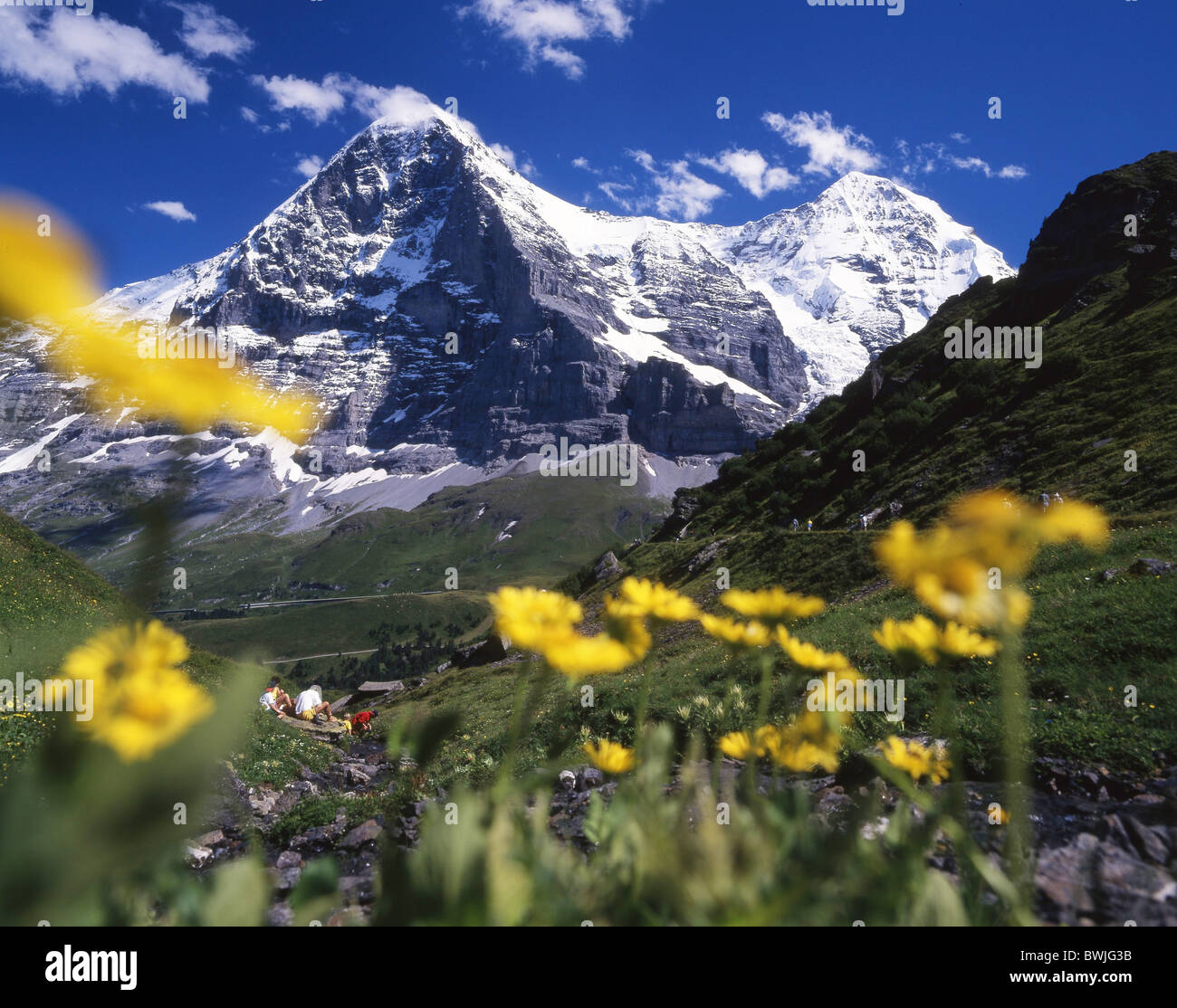 Eiger Monch footpath Mannlichen-Kleine Scheidegg hiking flowers brook stream mountains Alps scenery landsca Stock Photo