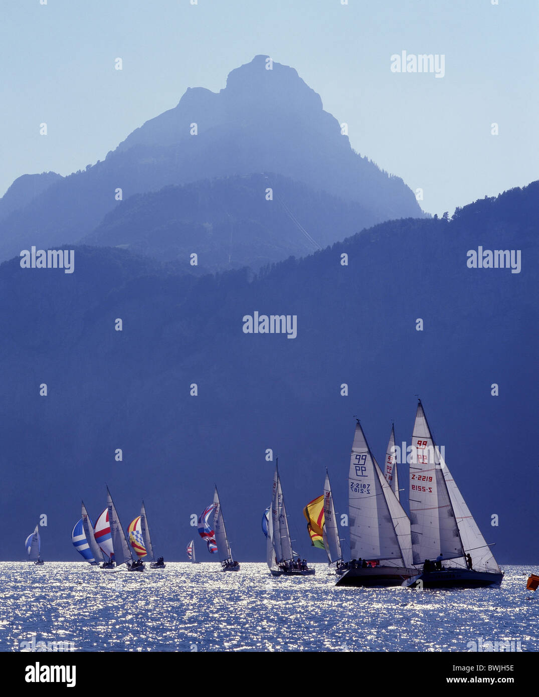sailing sail boats boats lake mountains regatta Urnersee Lake Lucerne aquatic sports water sports sports sp Stock Photo
