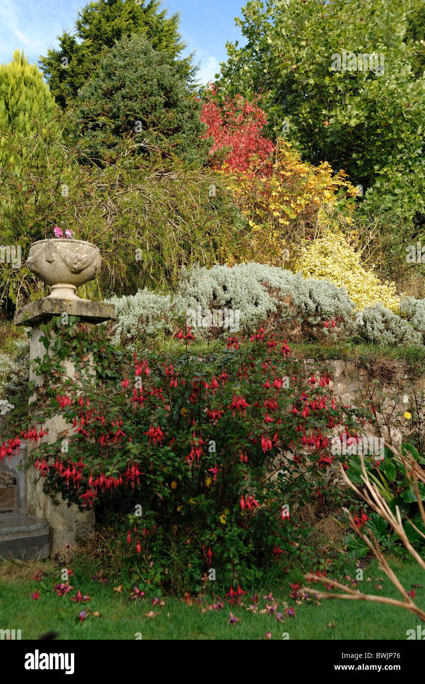 Terraced Devon garden with shrubs and plants in autumn colours Stock Photo