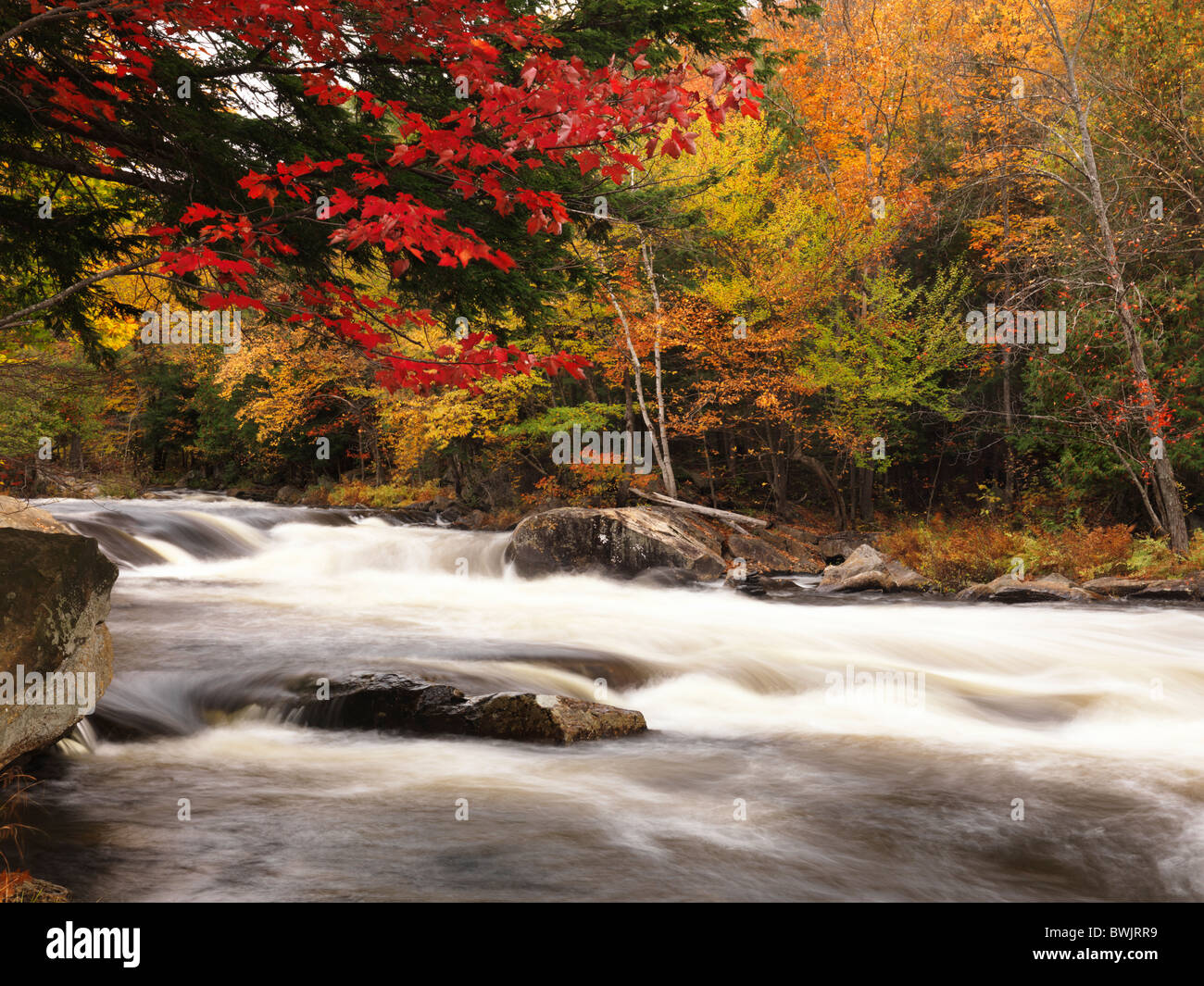 Beautiful fall nature scenery of Oxtongue river rapids. Algonquin ...