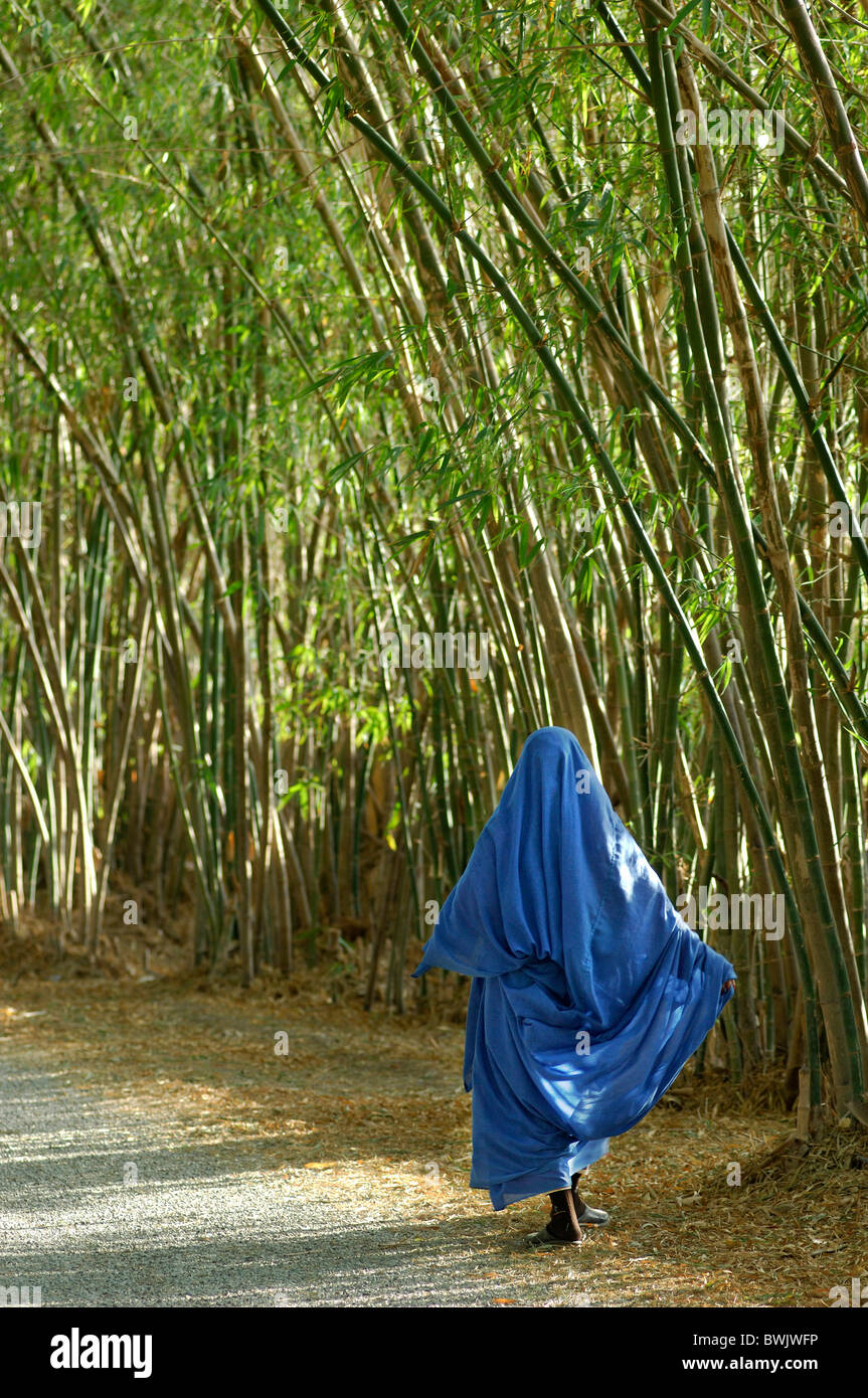 bamboo avenue way woman veils veil Islam Muslims Bamboo avenue hotel gazelle d'Or Taroudannt Taroudant Morocco North Africa Stock Photo
