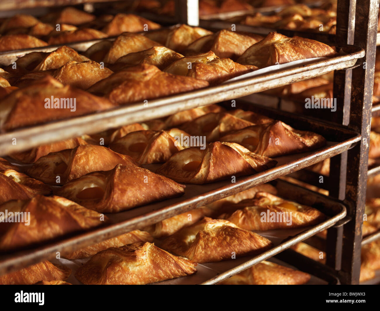 Freshly baked pastries on baking trays in bakery rack trolleys Stock