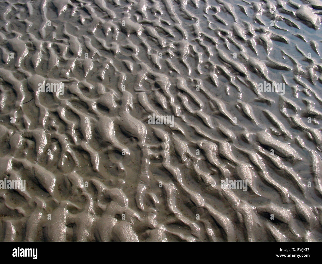 mud flats sea watt sand mud slime sludge structure water tides North Sea Saint Peter-Ording national park Stock Photo