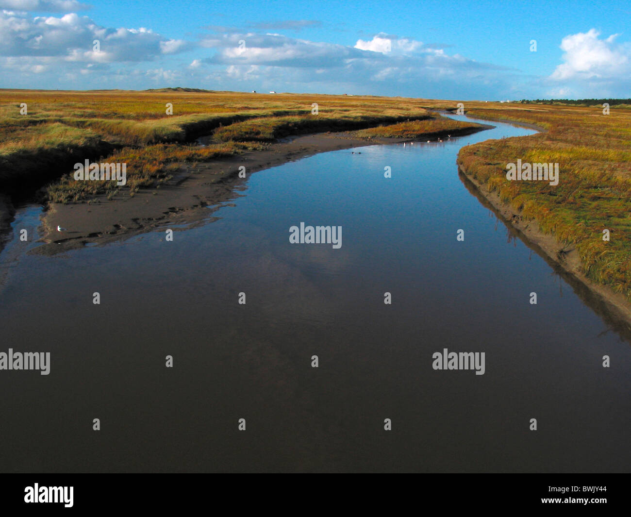 scenery landscape North Sea North Sea coast coast tides watts tideway ...