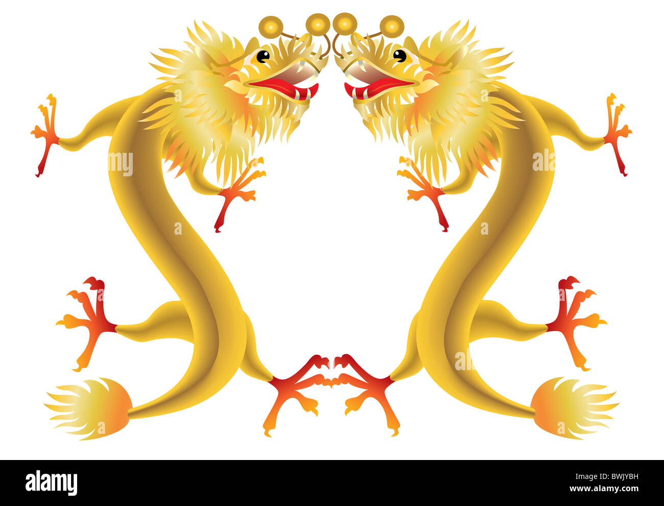 Golden chinese dragons on white background Stock Photo Alamy
