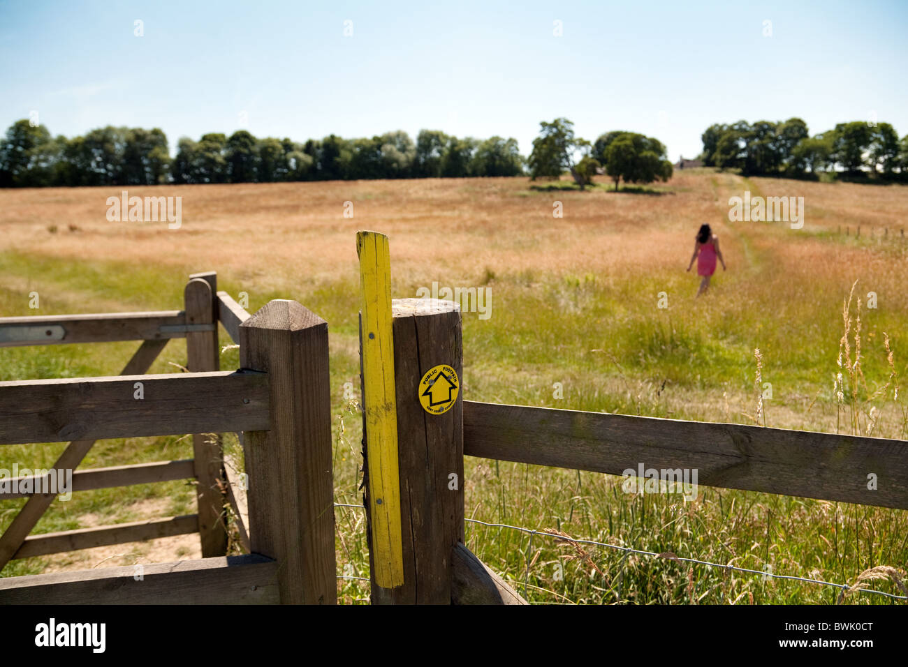 Young woman walking a footpath through a field in english countryside in summer;  Lyminge village near Folkestone, Kent UK Stock Photo
