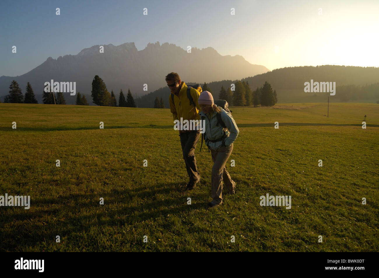 Hikers on an alpine meadow in the light of the evening sun, Rosengarten, Dolomites, South Tyrol, Italy, Europe Stock Photo