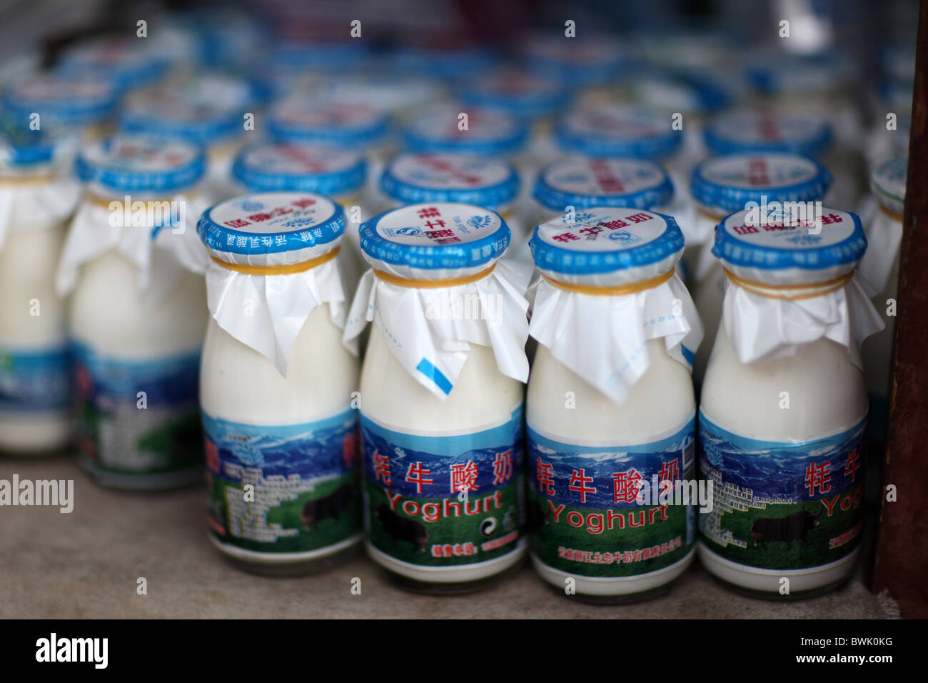 Yaks yak yoghurt on display in Lijiang Old Town, Yunnan Province, China