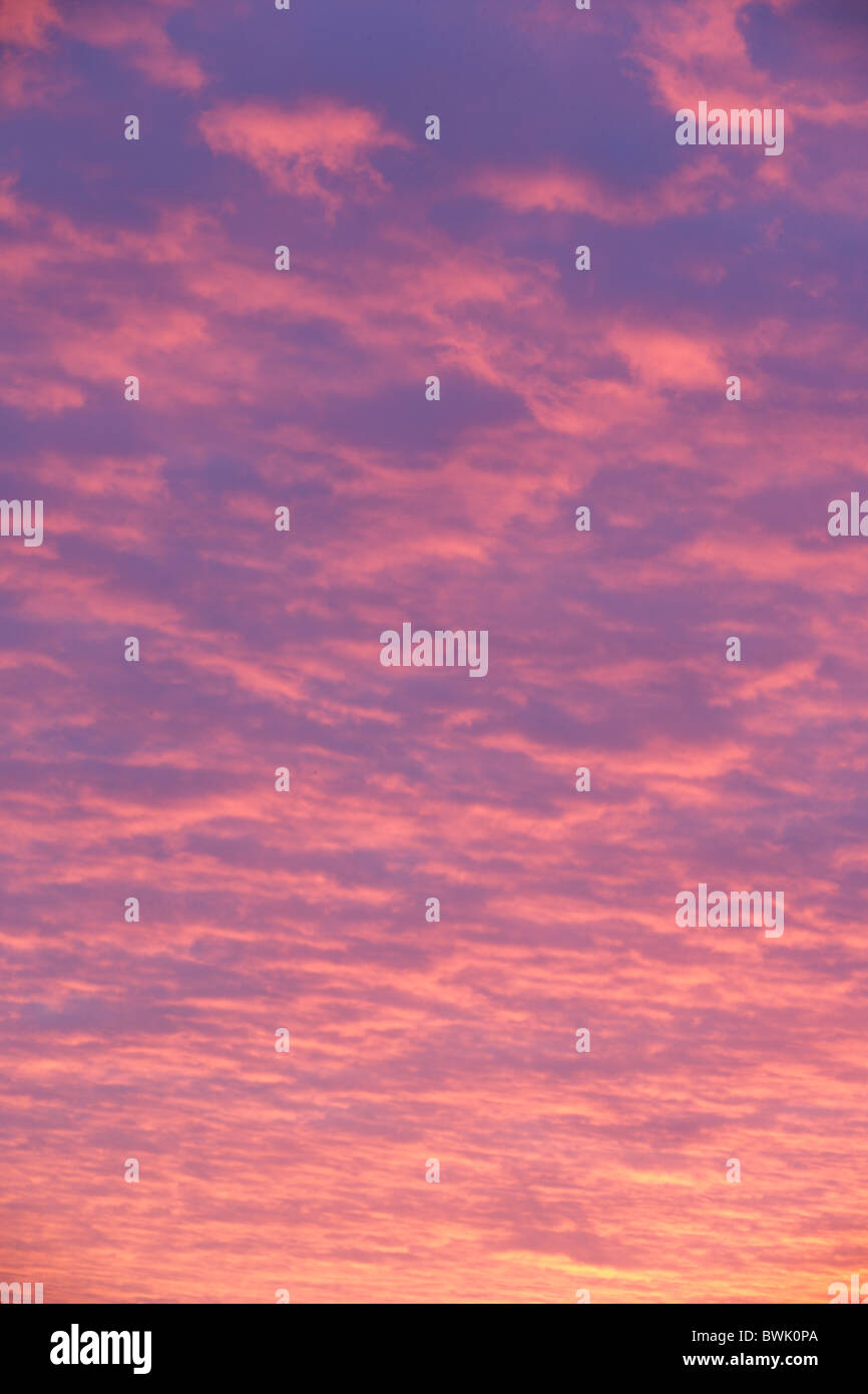 Pink and purple clouds at sunset background Stock Photo