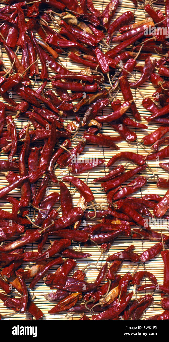 Asia South Korea Chili Pepper food cooking cuisine Stock Photo Alamy