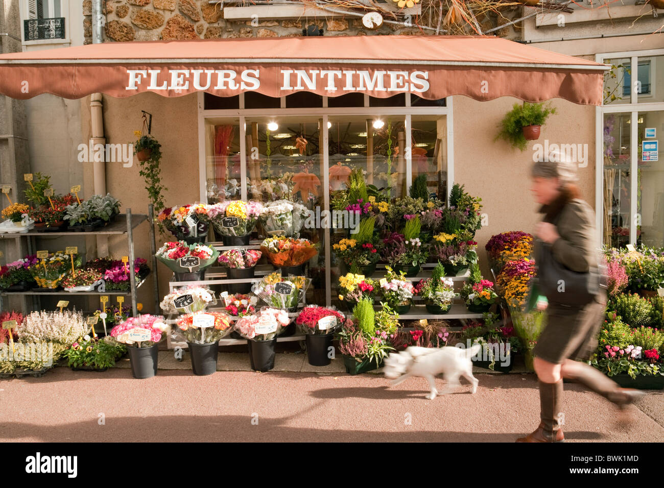 France flower shop hi-res stock photography and images - Alamy