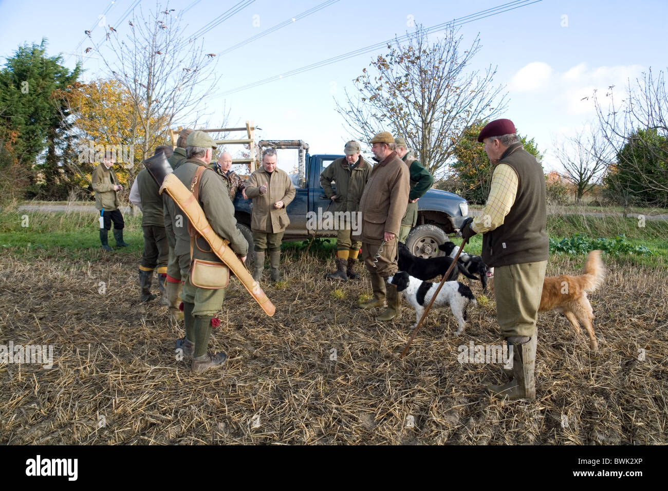 Shooters (guns) and their dogs on a game bird shoot, Cambridgeshire, UK Stock Photo